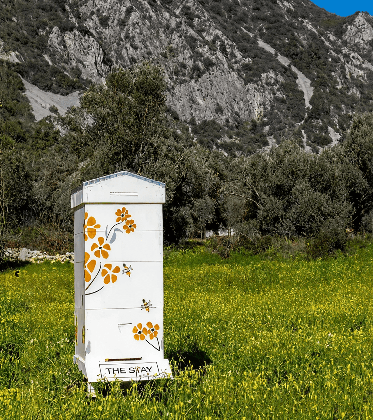 Sustainability Beehive